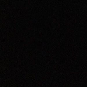 Meet your Posher, Jackson